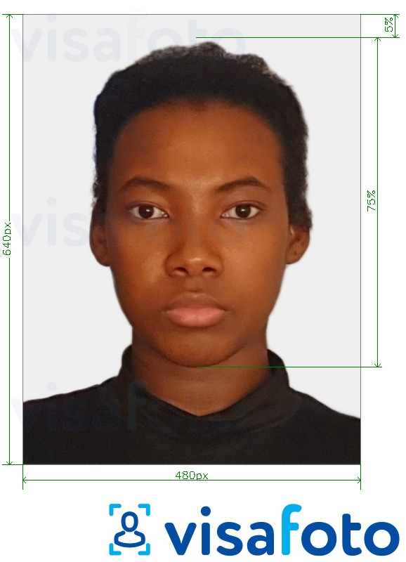 Contoh dari foto untuk Paspor Bahama 480x640 piksel dengan ukuran spesifikasi yang tepat
