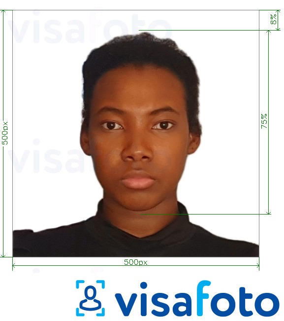 Contoh dari foto untuk Visa Kamerun online 500x500 px dengan ukuran spesifikasi yang tepat