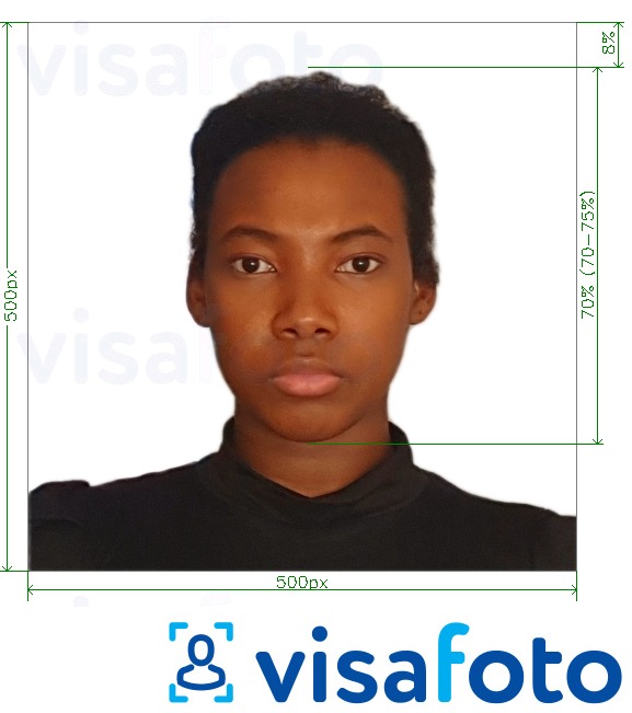 Contoh dari foto untuk Kenya online e-visa 500x500 piksel dengan ukuran spesifikasi yang tepat