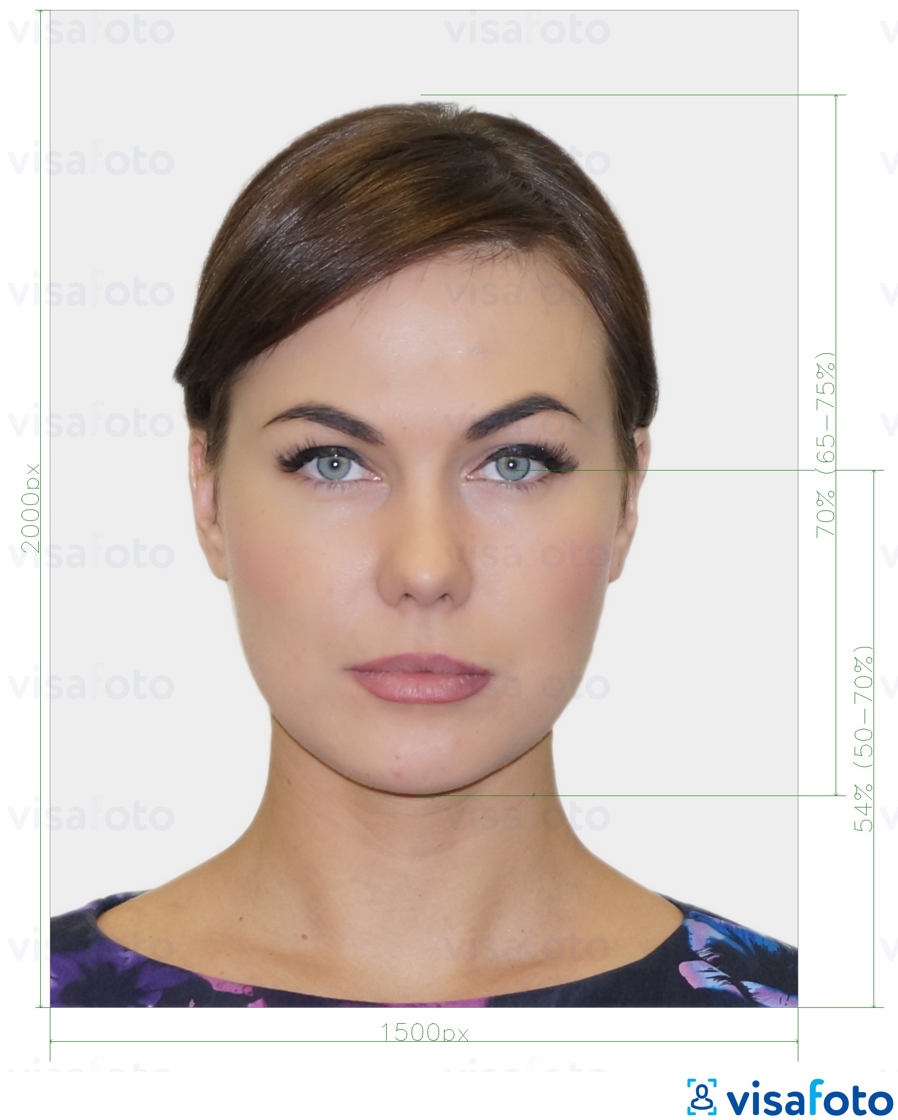 Contoh dari foto untuk Paspor Selandia Baru Online dengan ukuran spesifikasi yang tepat