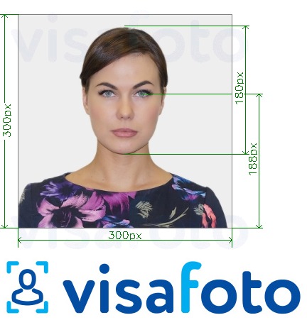 Contoh dari foto untuk ID Universitas Miami 300x300 piksel dengan ukuran spesifikasi yang tepat