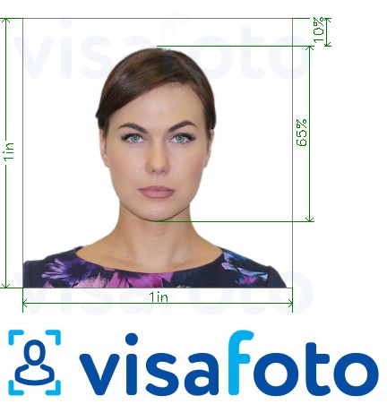 Contoh dari foto untuk Pemeriksaan batang USA 300x300 piksel dengan ukuran spesifikasi yang tepat